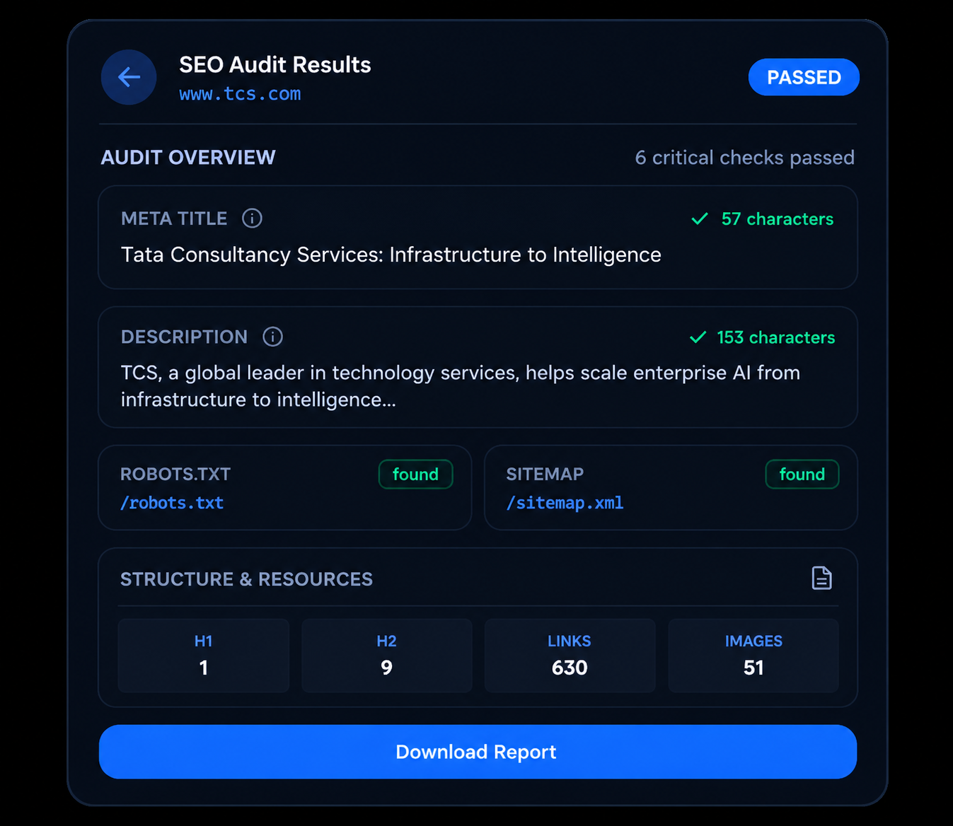 SEO Audit Results dashboard